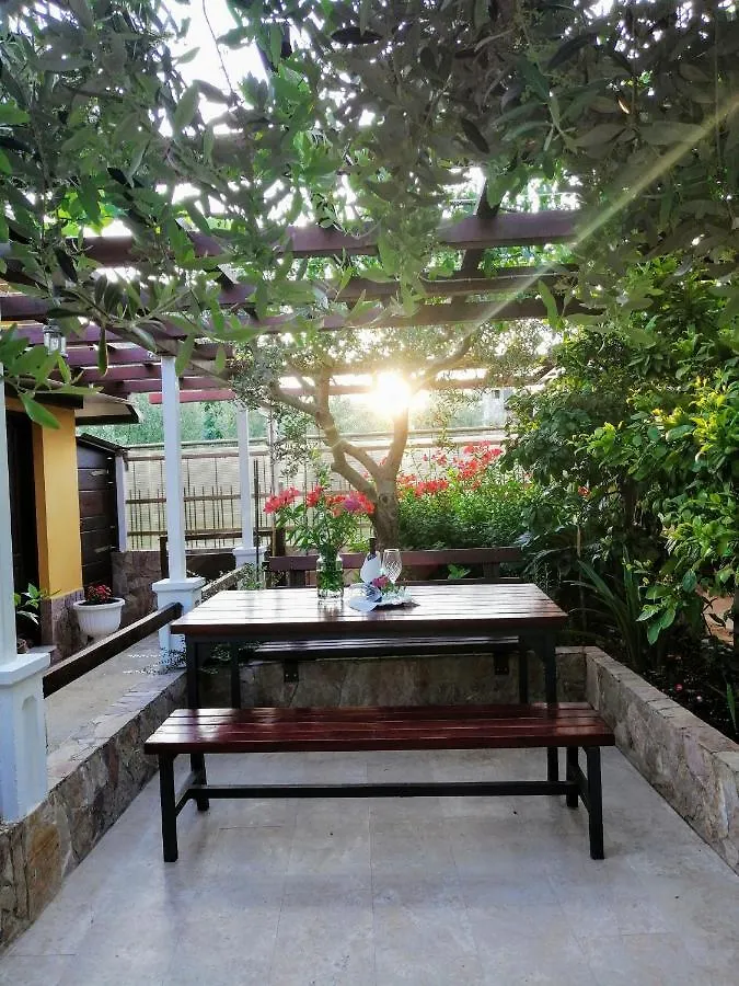 T&D Apartmani Pula Apartment